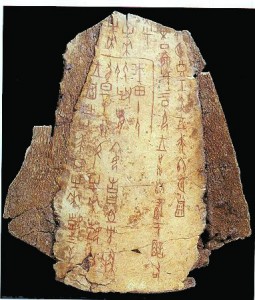 xin_5302031615520622682565
